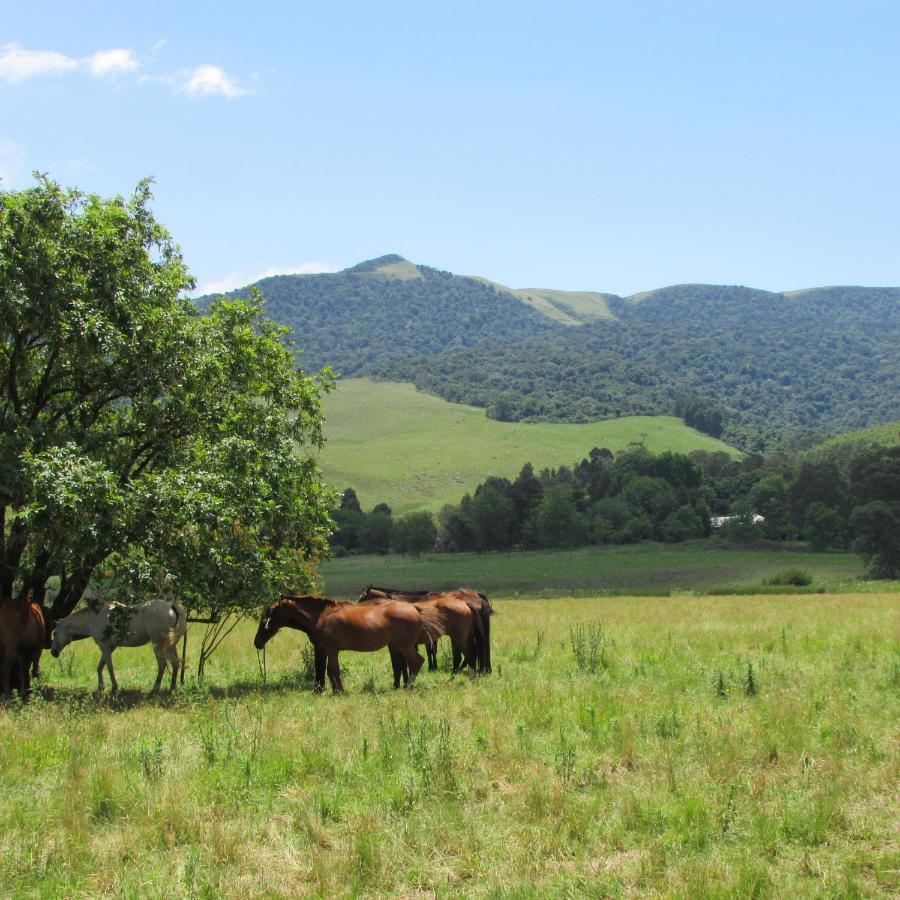 Karkloof Hideout Villa Хоуик Екстериор снимка